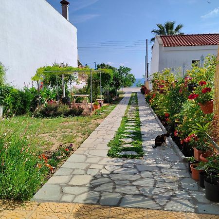Annas House Apartment Псахудиа Екстериор снимка